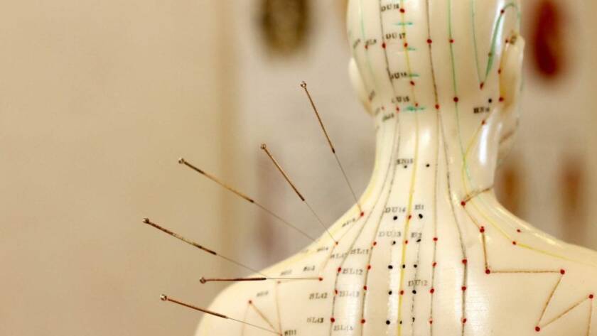 Acupuncture points from the back of the head to the shoulder blades labeled on a mannequin